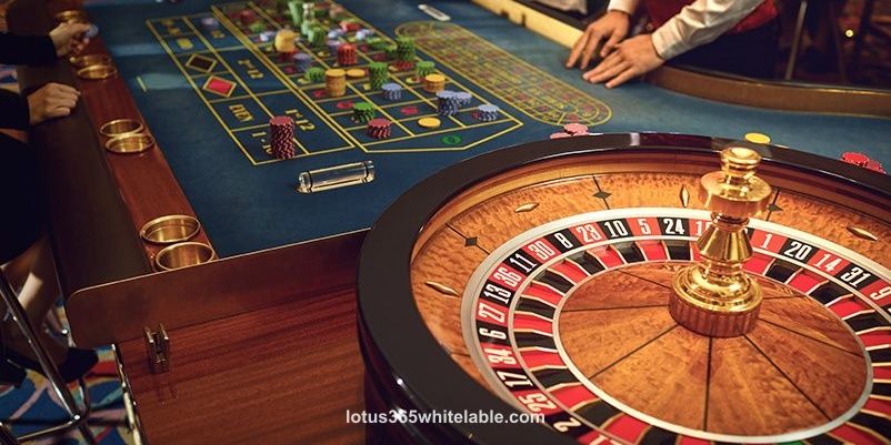 Lotus365 Live Casino Games